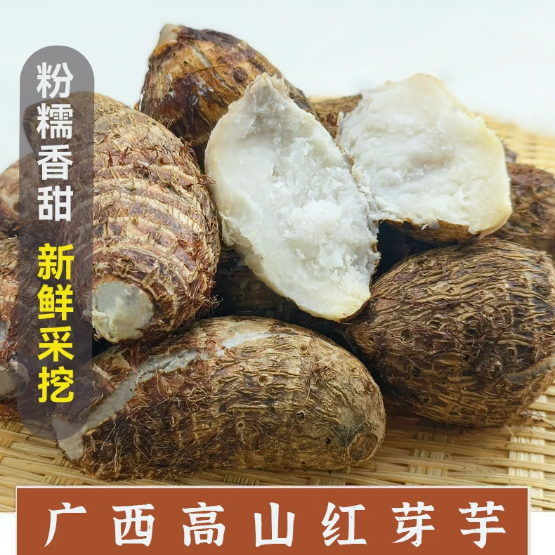 芋头广西高山红芽芋头新鲜现挖现发小芋头软糯粉香芋仔鲜芋艿蔬菜