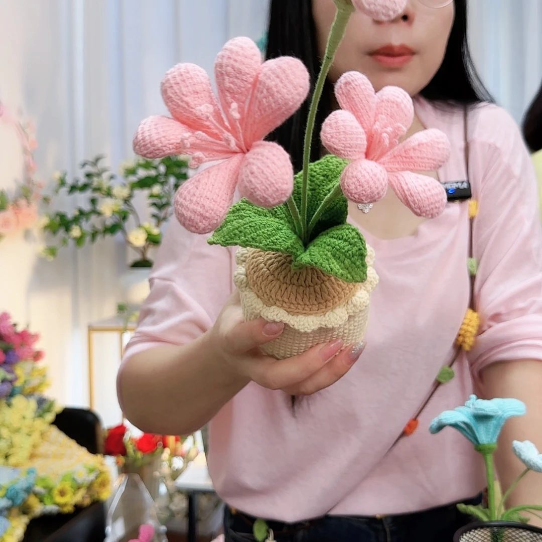 莱赛尔纤维棉手工钩织盆栽