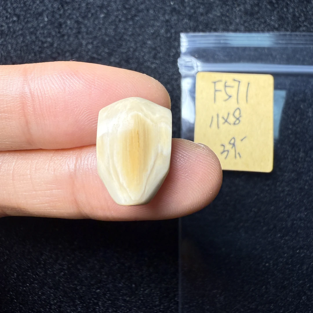 F571猛犸象牙鲨鱼背三通尺寸11*8mm果冻料