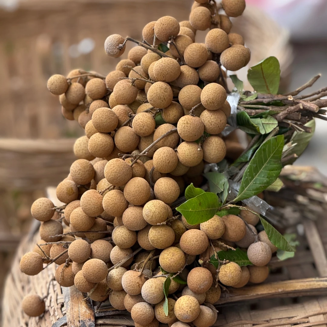 现摘龙眼新鲜整箱当季水果