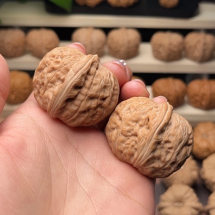 核桃41全品大元宝4024