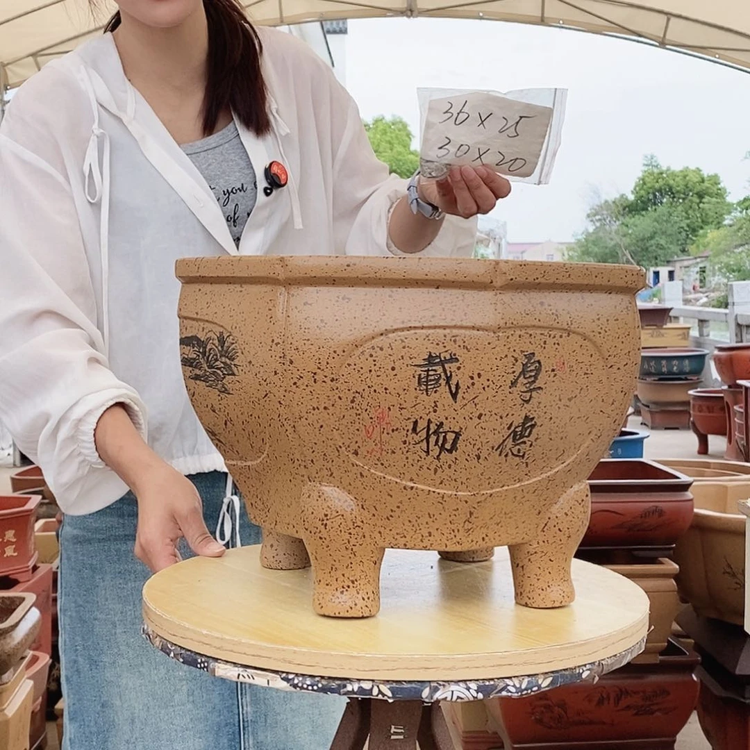 紫砂花盆紫砂花盆