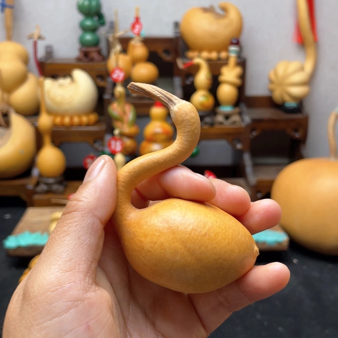 白**子大自然的秘密第十节第二十