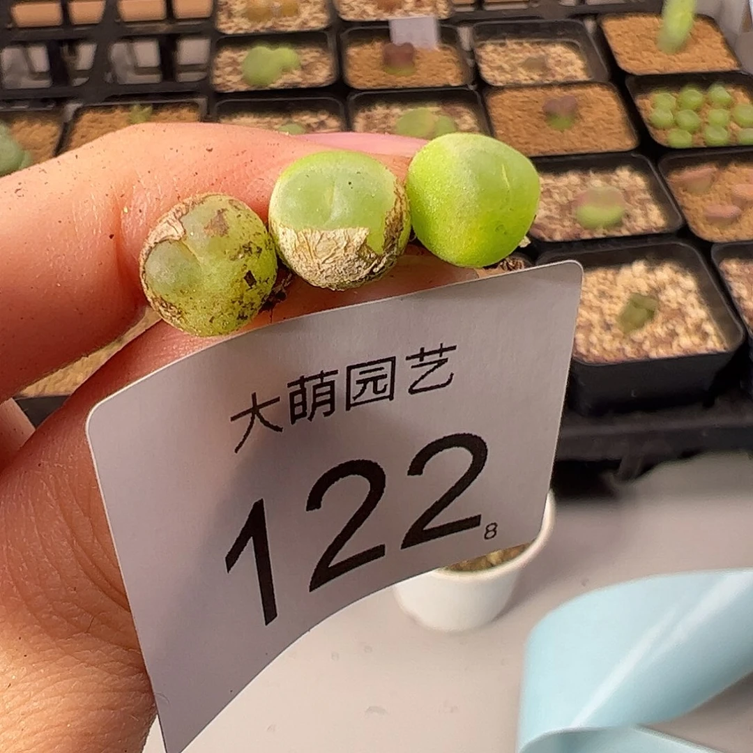 0000122 一物一拍。