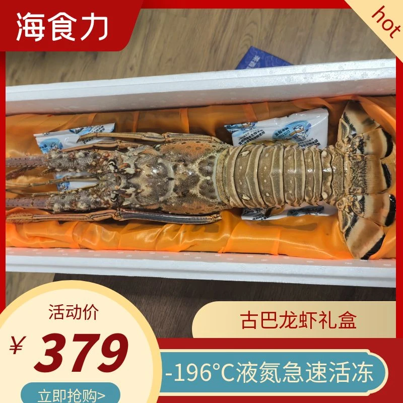 大古巴龙虾礼盒 - 196℃液氮急速活冻 单只2-2.5斤 顺丰包邮