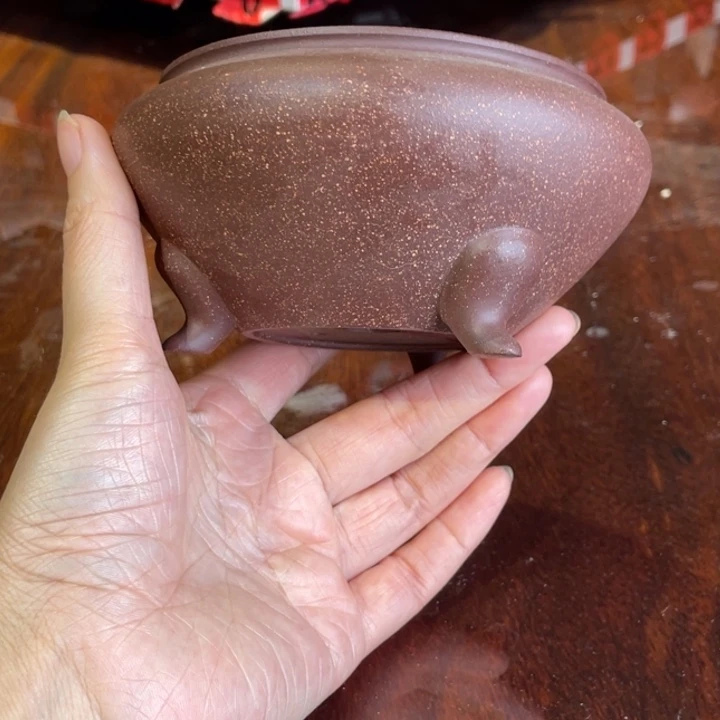 花盆紫砂这个时候