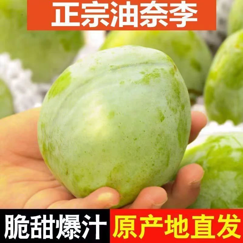 正宗高山脱骨油奈李脱骨李新鲜李子脆甜多汁新鲜发货好吃不贵