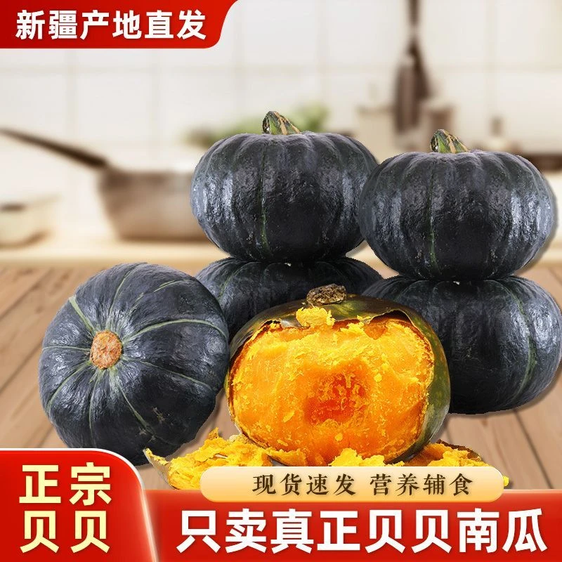 新疆沙地正宗贝贝南瓜粉糯香甜板栗味宝宝辅食产地直发粉面
