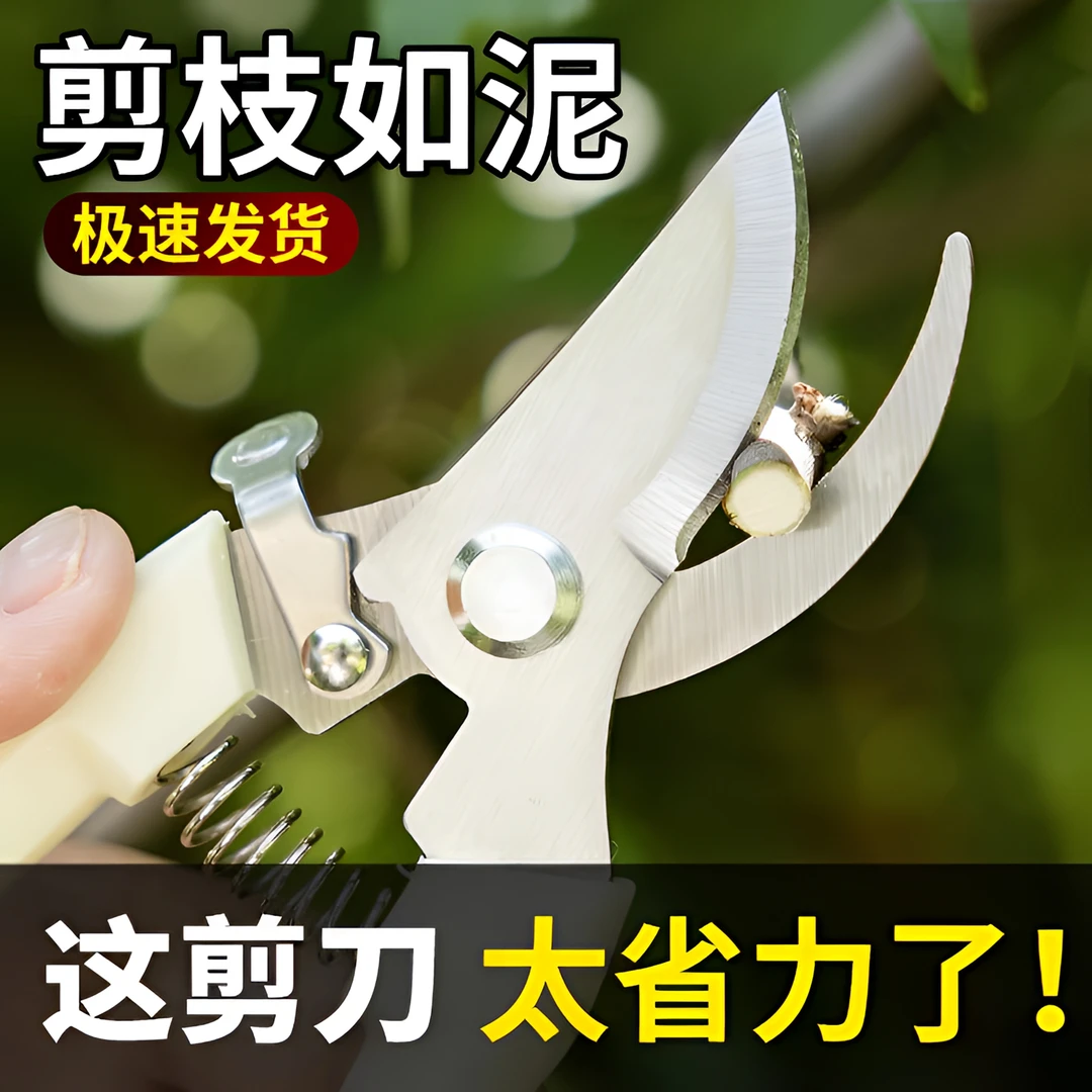 剪枝果树修枝剪刀园艺园林修花枝剪家用强力神器花剪剪枝花卉剪刀
