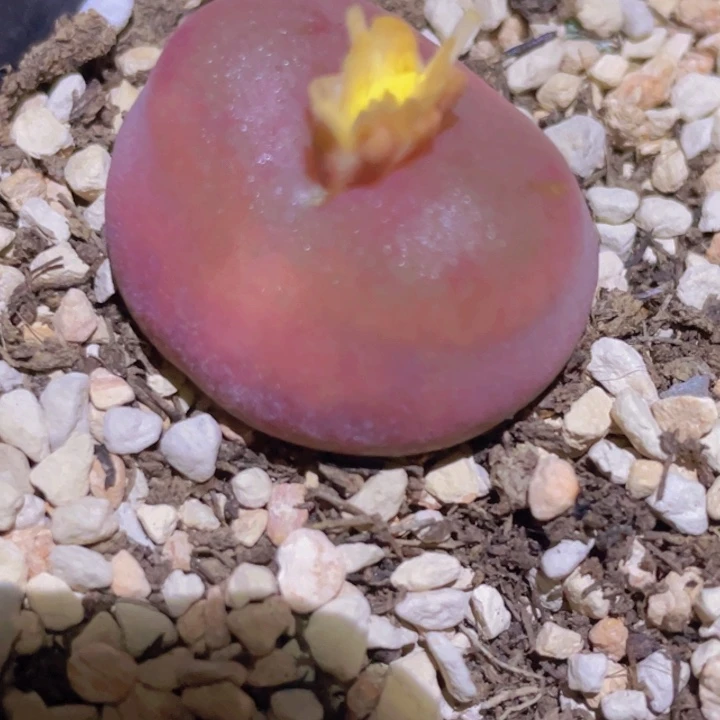 58800000088888888888888