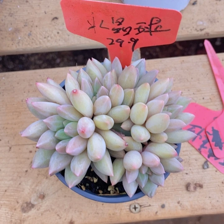 我要的东西不在身边