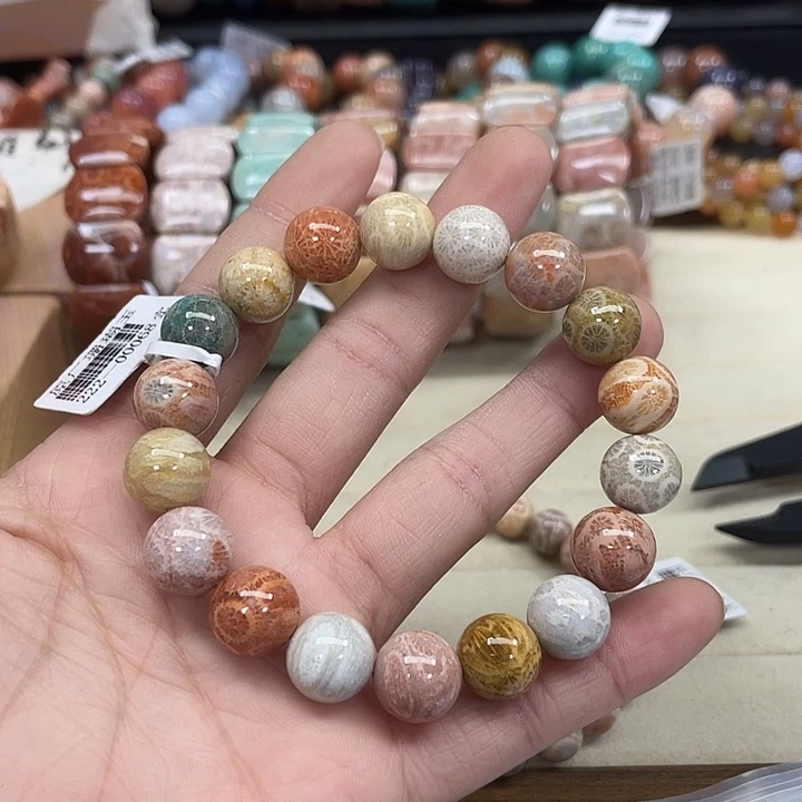 未镶嵌手串硅化珊瑚（珊瑚玉）玲**359