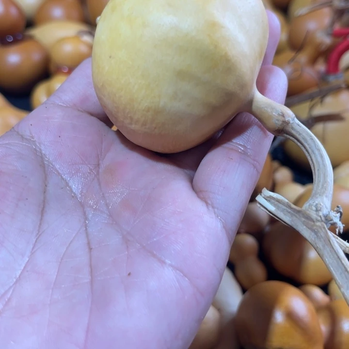 热****圆葫芦葫哈哈哈哈哈哈