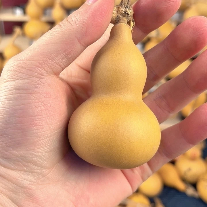 葫芦一物一拍所见即所得，