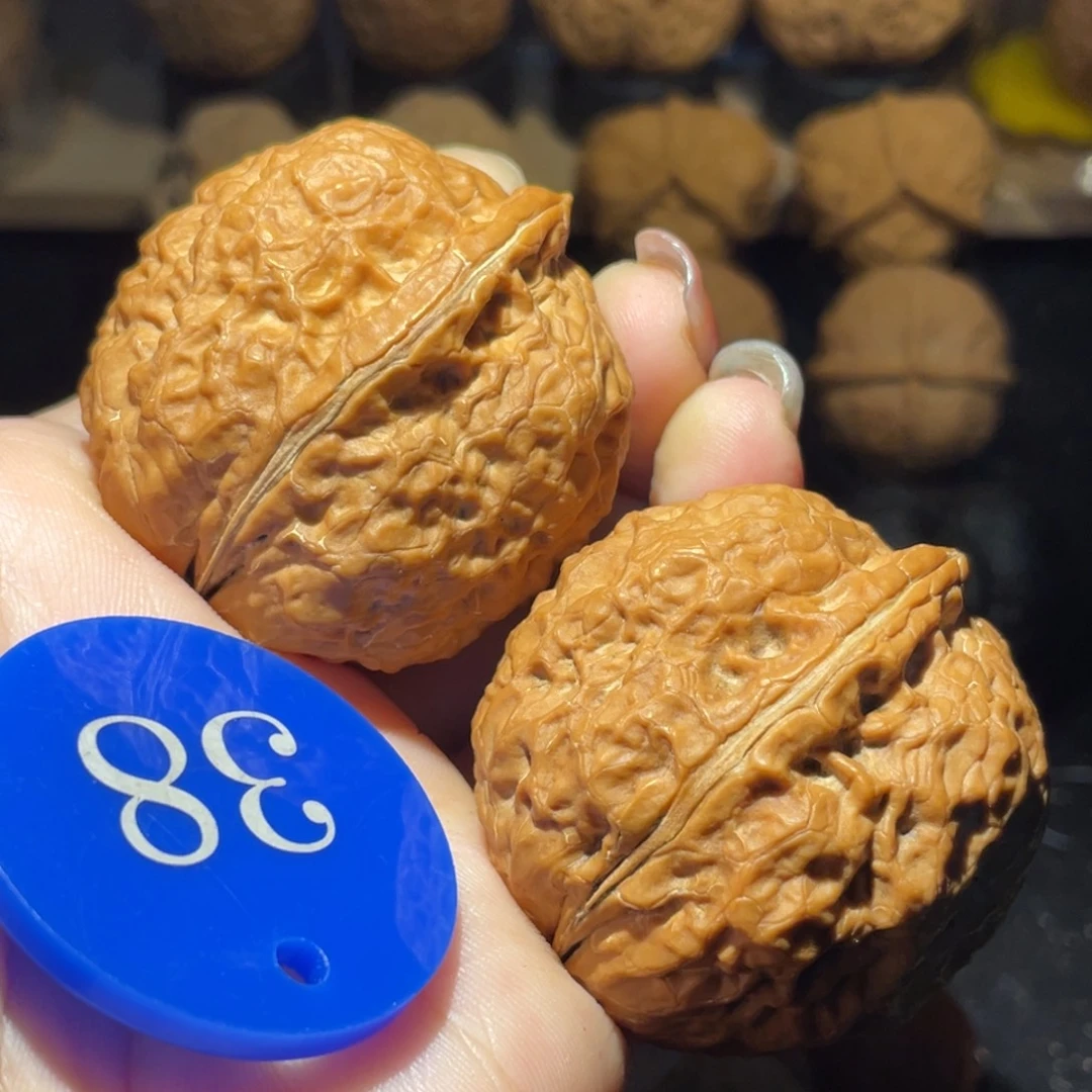 霸王龙42尺寸核桃