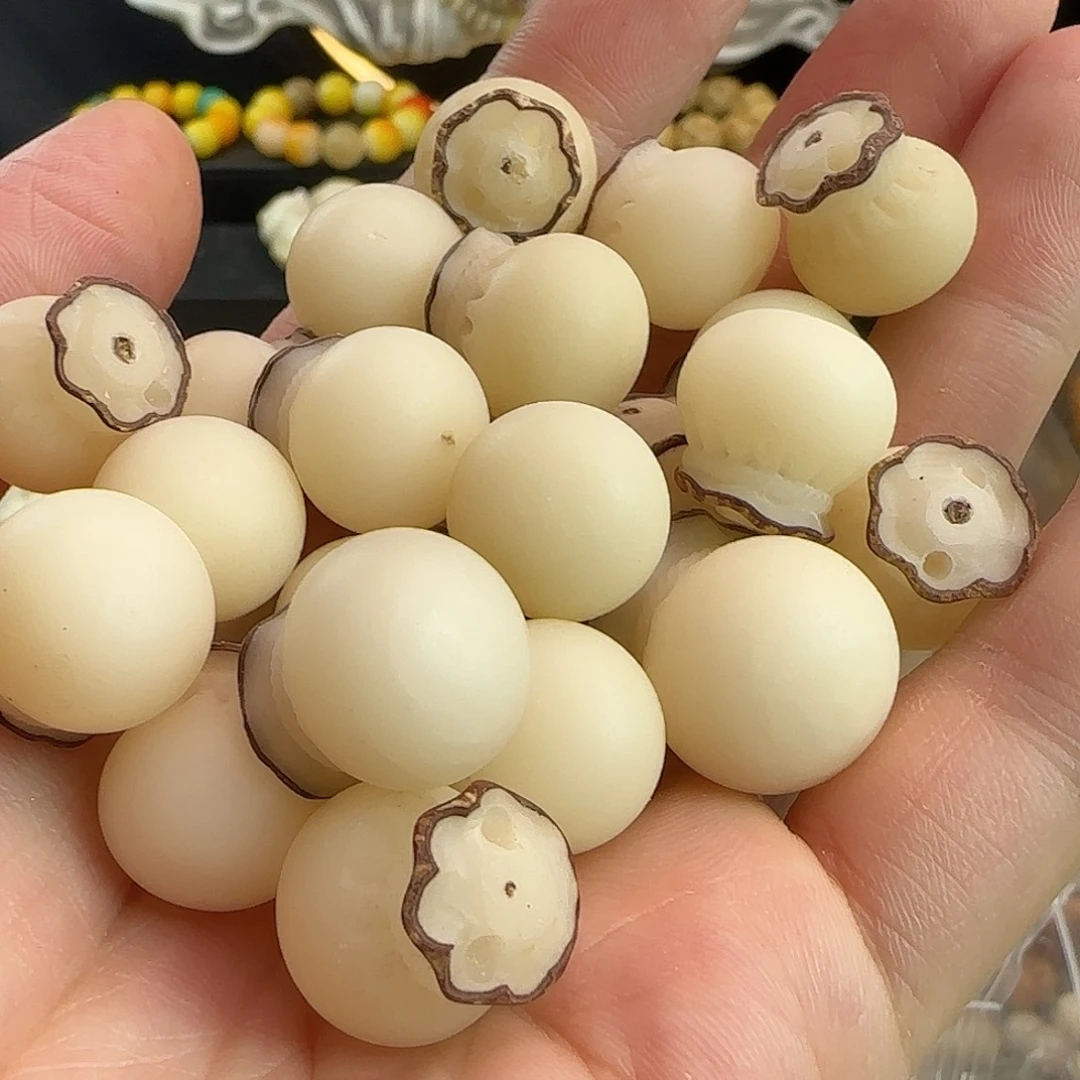 菩提根/象牙果吊坠瑕疵钱袋30颗批发不挑瑕疵