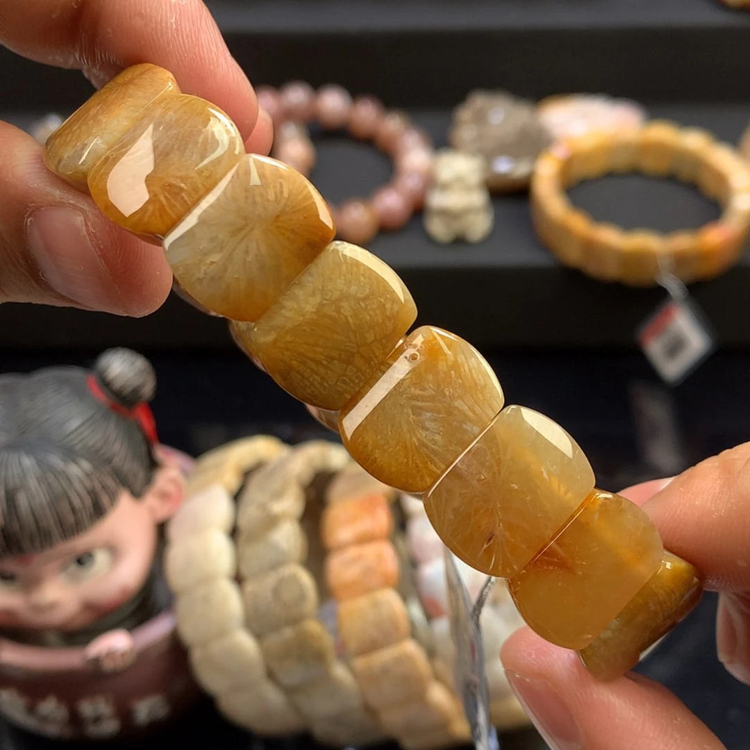 【闪购商品】硅化珊瑚（珊瑚玉）未镶嵌颈饰66号糖冰凤尾