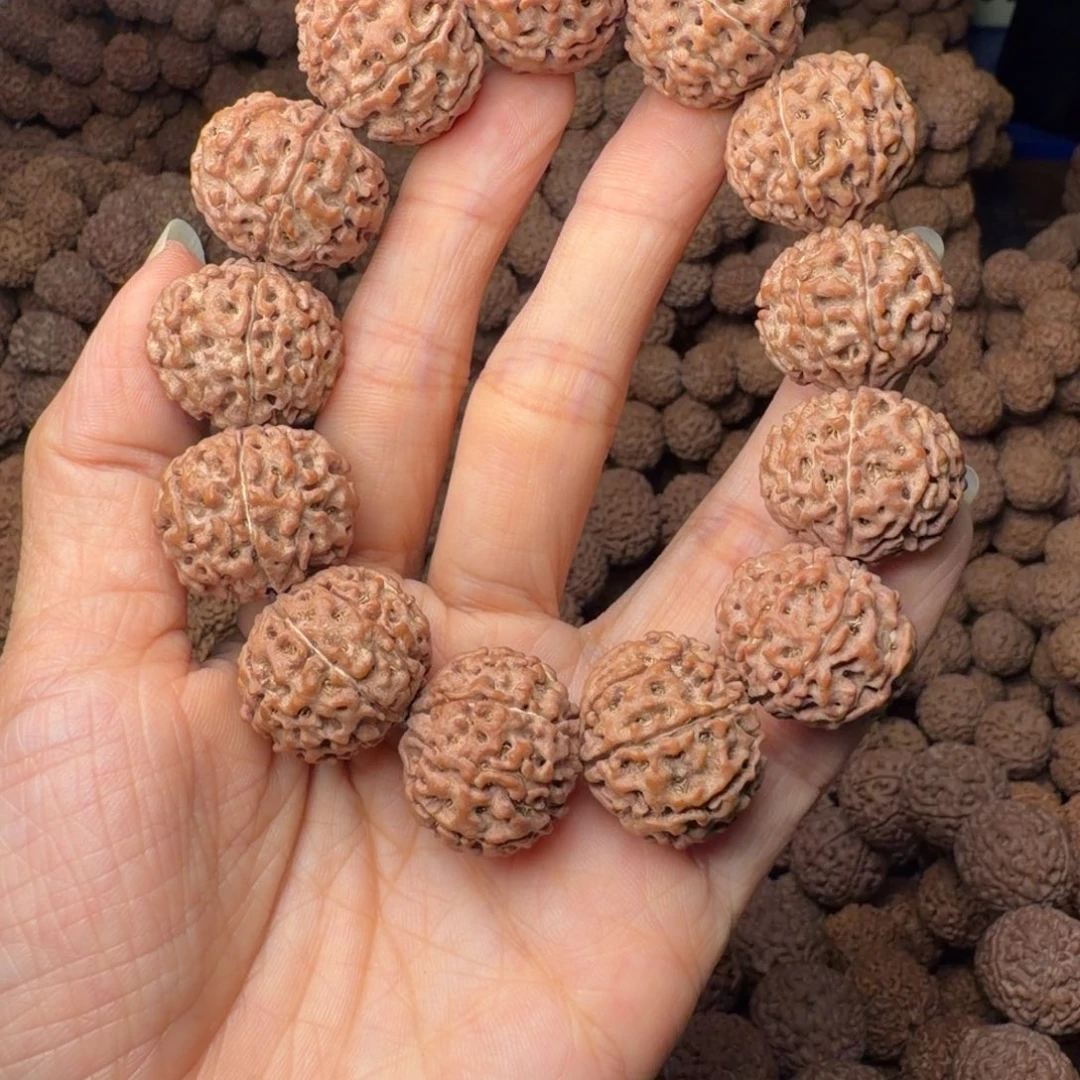 金刚菩提手串8瓣卡22尺，101号