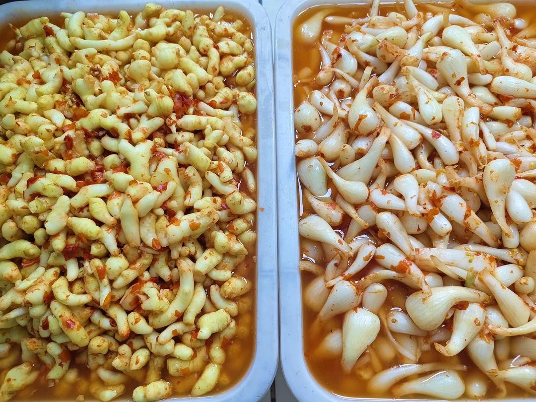 湘西付二妹自制酸姜酸教头