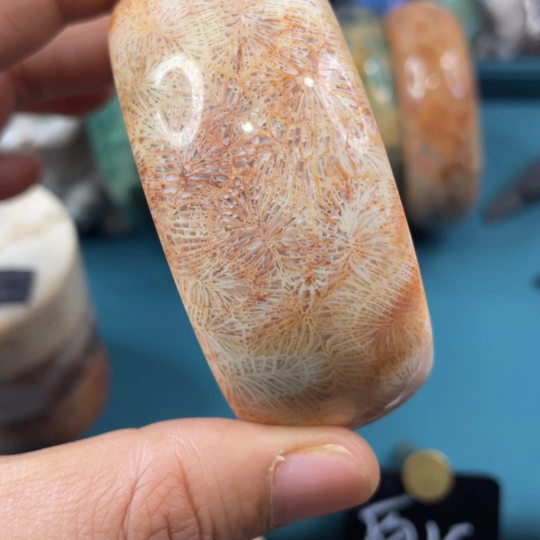 未镶嵌手镯硅化玉