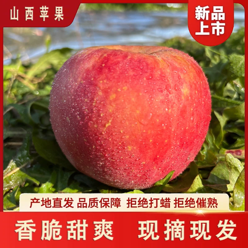 水果山西红富士苹果