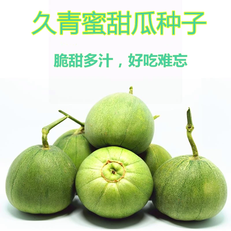 久青蜜甜瓜种子绿皮绿肉香瓜种籽薄皮甜瓜绿宝石高产糖度高