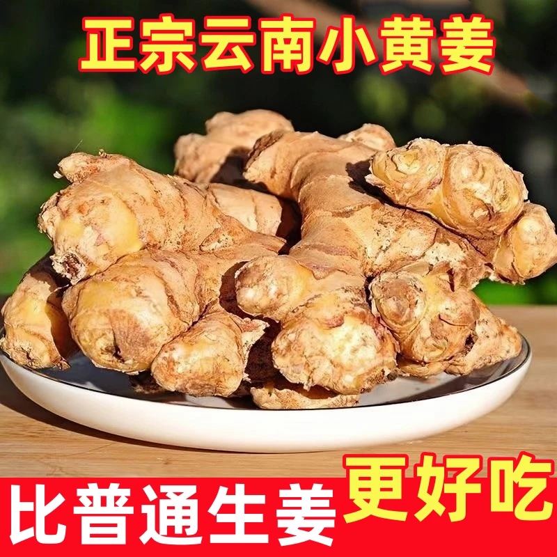 【特价抢5斤】云南小黄姜新鲜生姜老姜批发当季蔬菜产地直发非沙姜