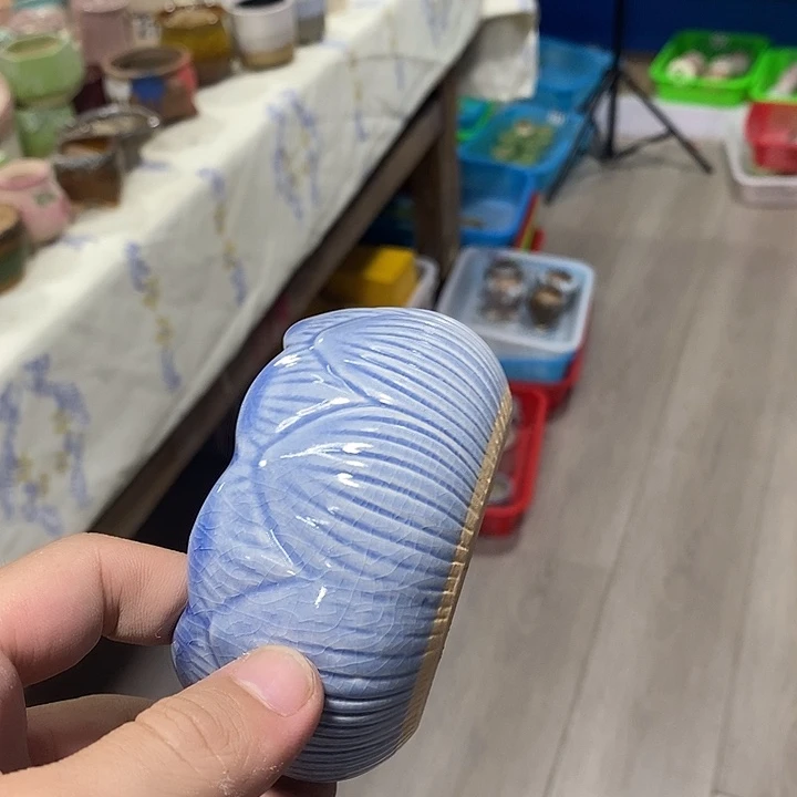 花盆抢购清货马上开始