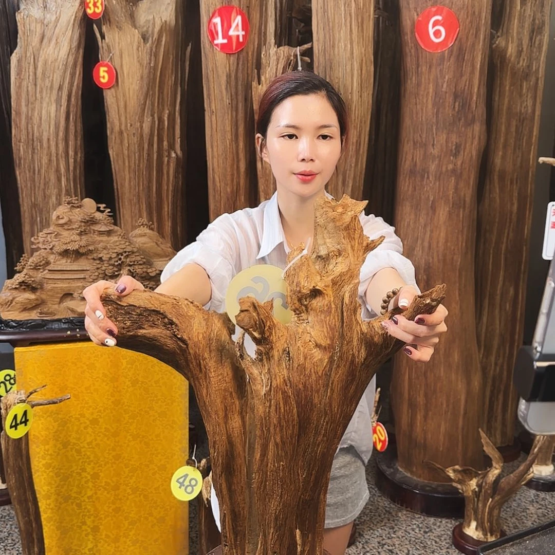 摆件沉香天然沉香原材料摆件➕底座