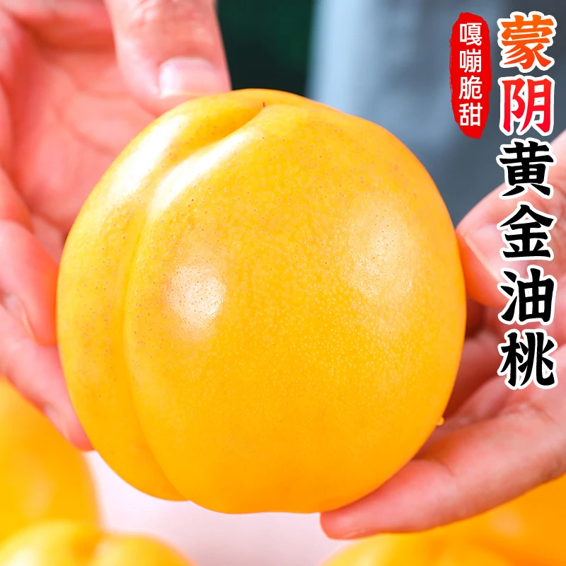 【肉厚香甜】蒙阴黄金油桃2-4.5斤桃子黄桃放软爆汁水蜜桃新鲜水果