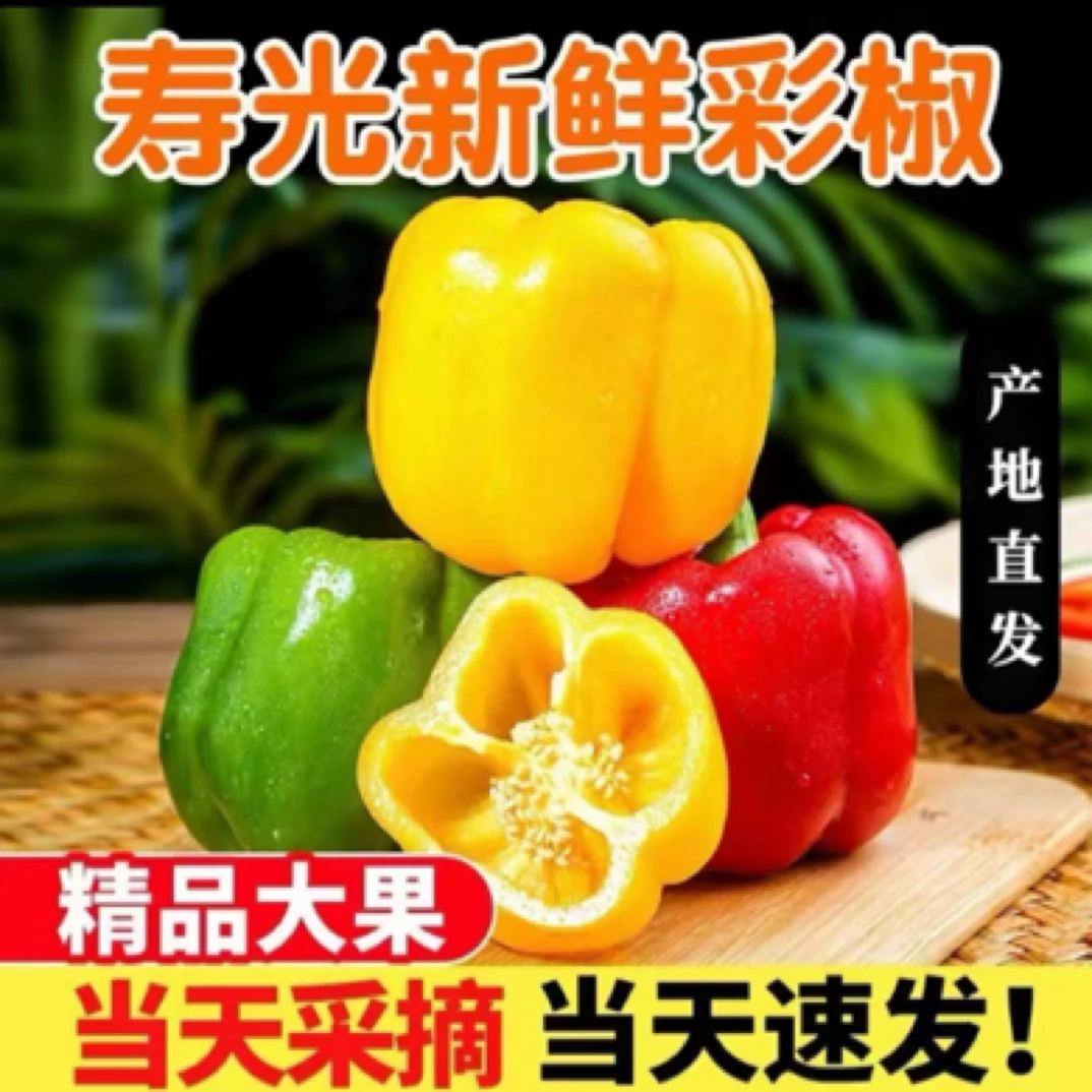 耕地人山东现摘红黄绿五彩椒水果椒（净重3-5斤）新鲜营养生吃