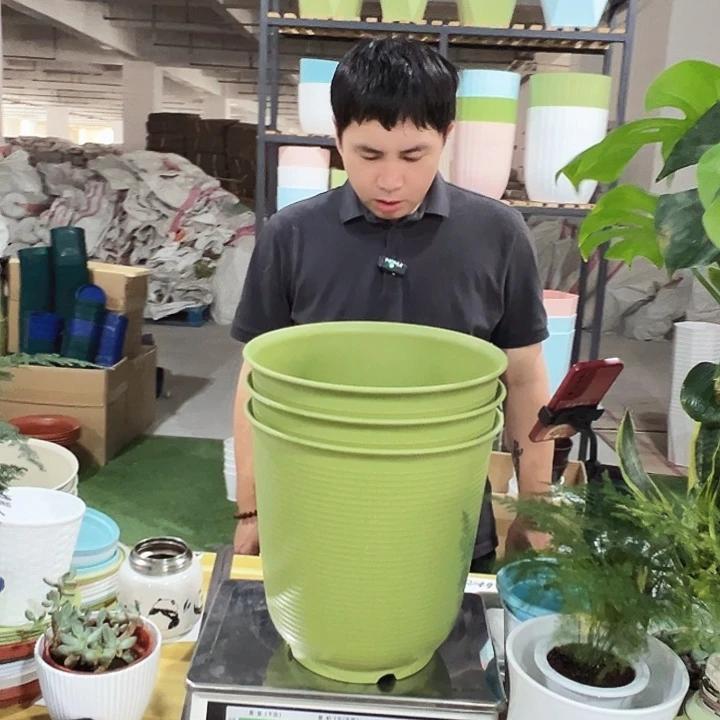 高陶口27高27果绿色3个无托