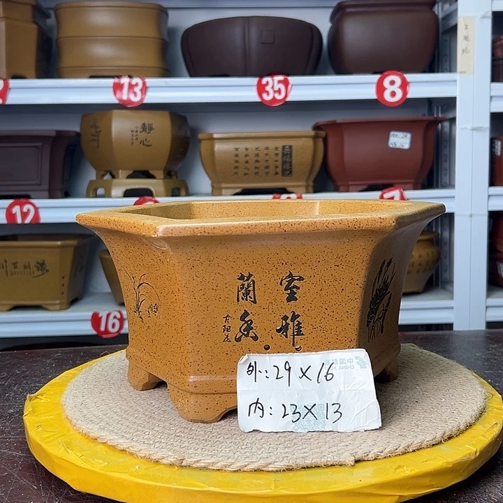 花盆紫砂蛇年大吉