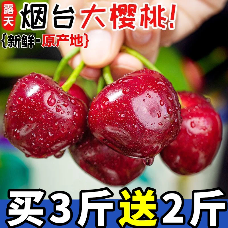 【买3斤送2斤】烟台大樱桃酸甜拉宾斯新鲜水果车厘子山东应季批发