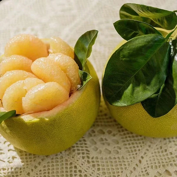 正宗度尾红心文旦八甜两酸应季水果福建四大名果