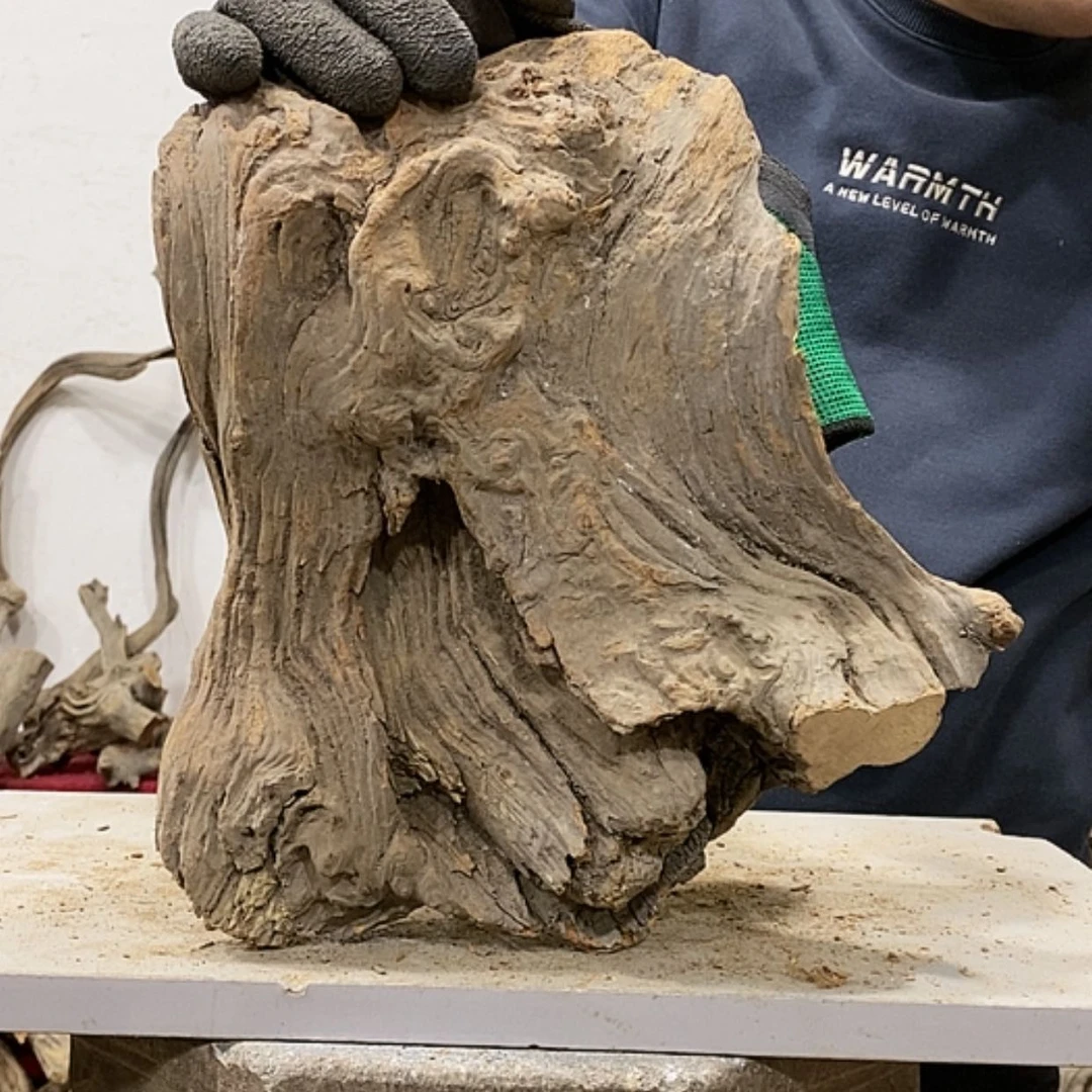 【闪购商品】柏木展****）我们都是好孩子