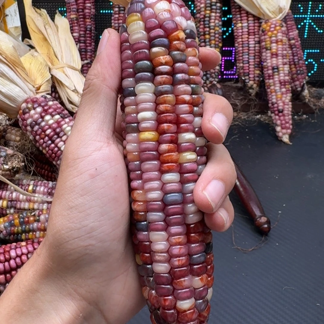 荼***白柏香籽/百香籽吊坠
