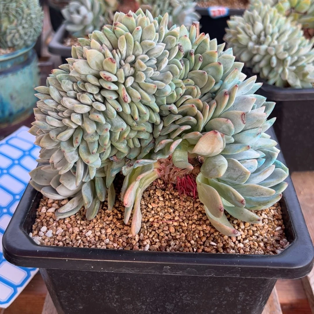 点点滴滴点点滴滴