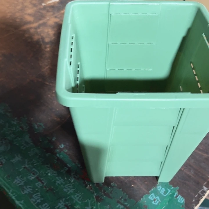编号403果绿无托5个