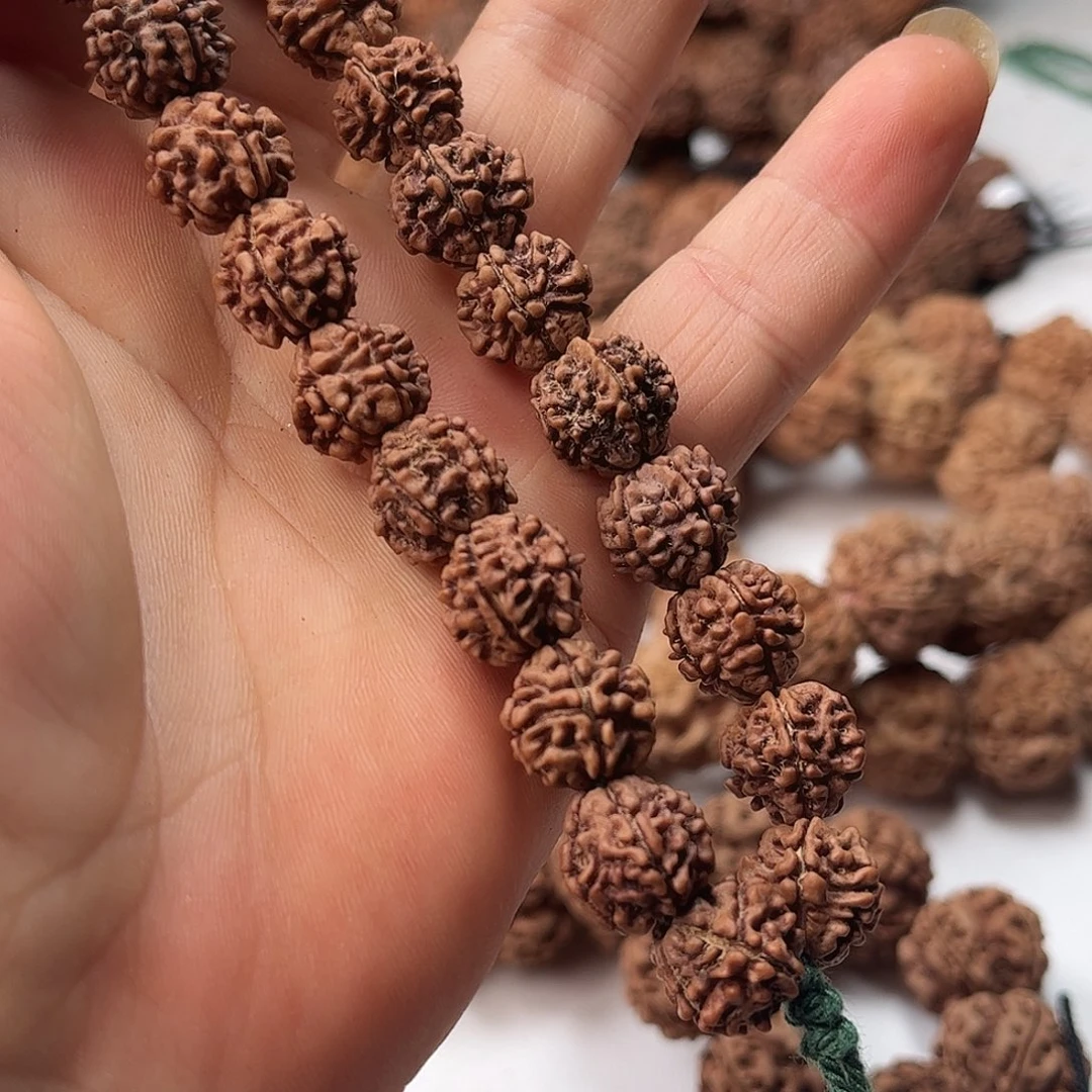 手串金刚菩提13龙牙梅花