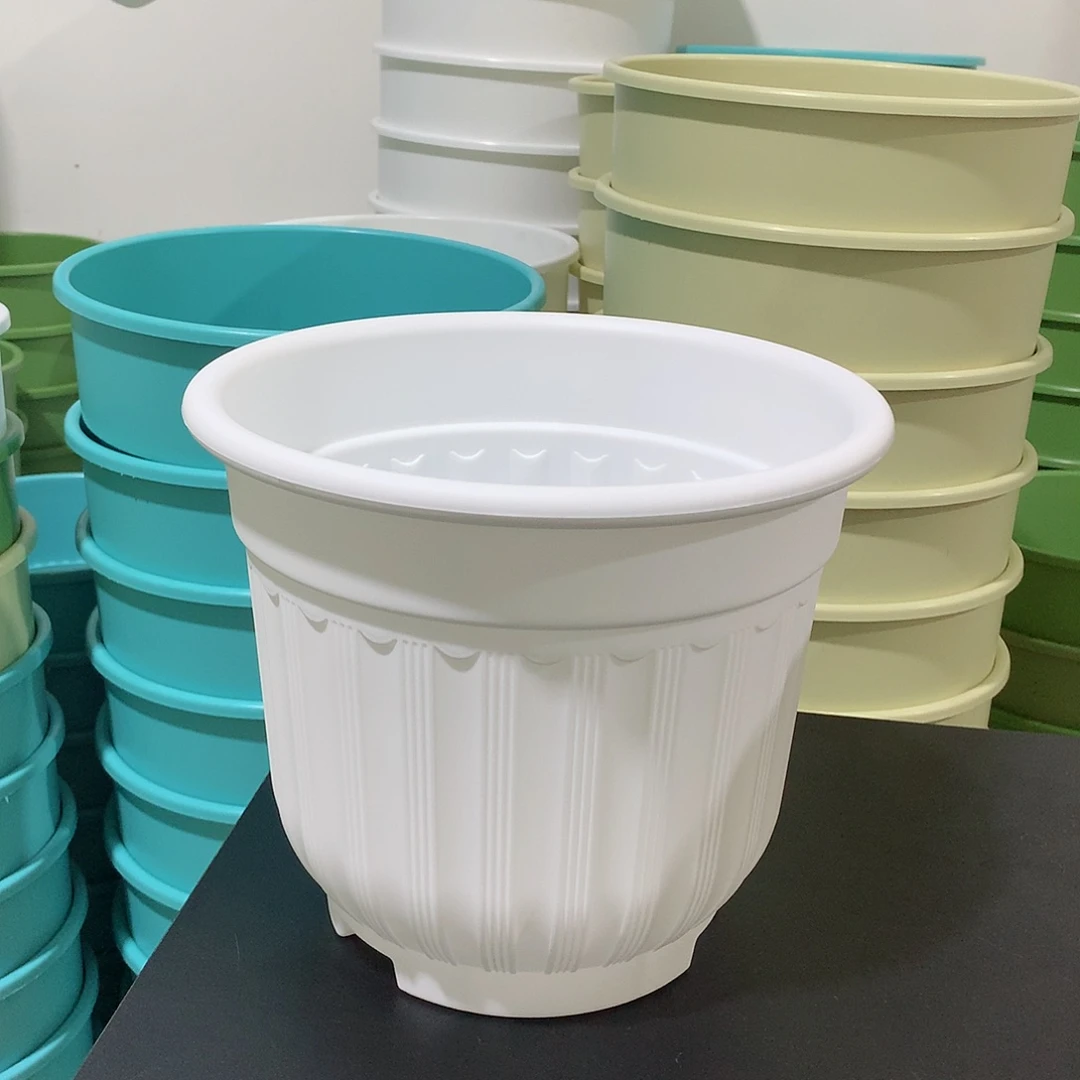 树脂罗马口21白4个无托