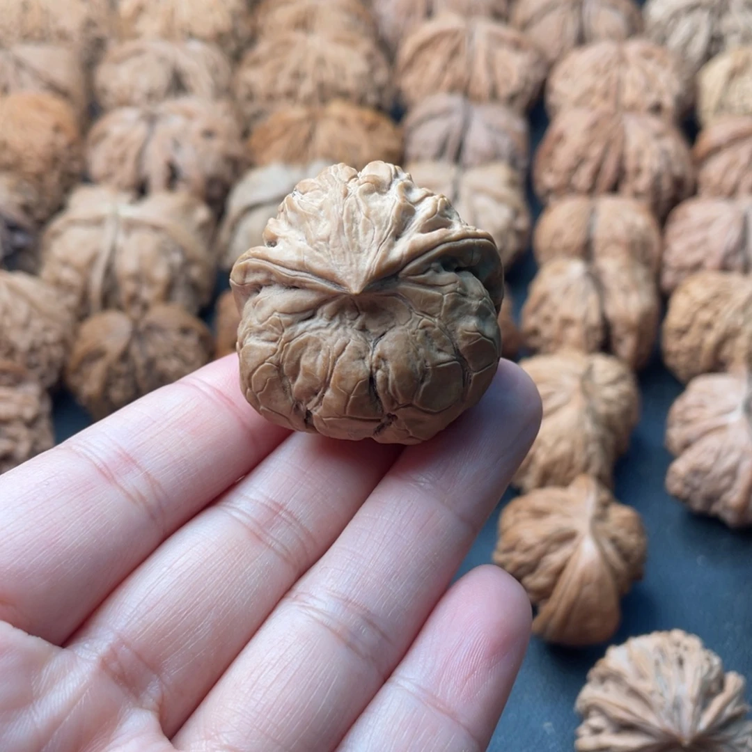 把件文玩核桃36甲骨文蛇头