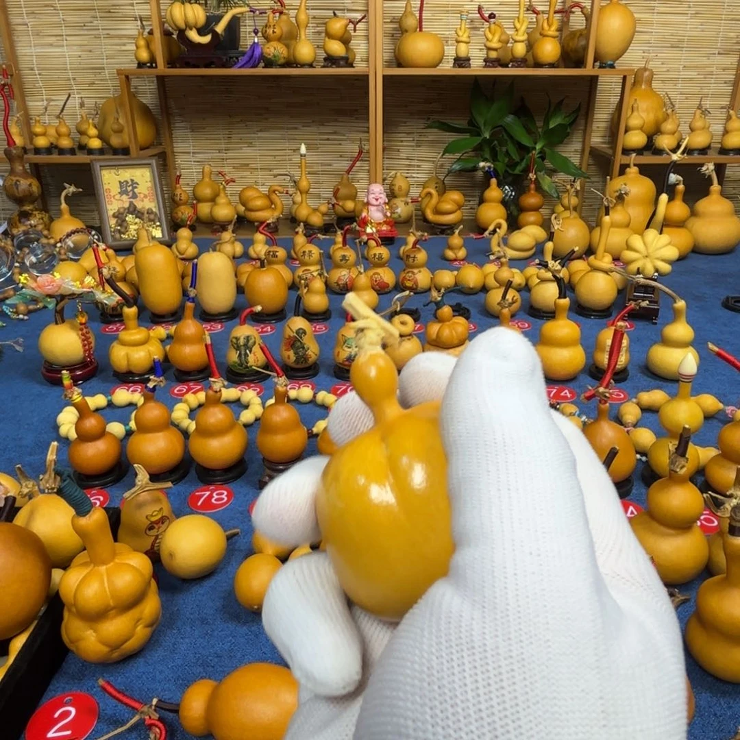 海***泡直播间专用 一物一拍