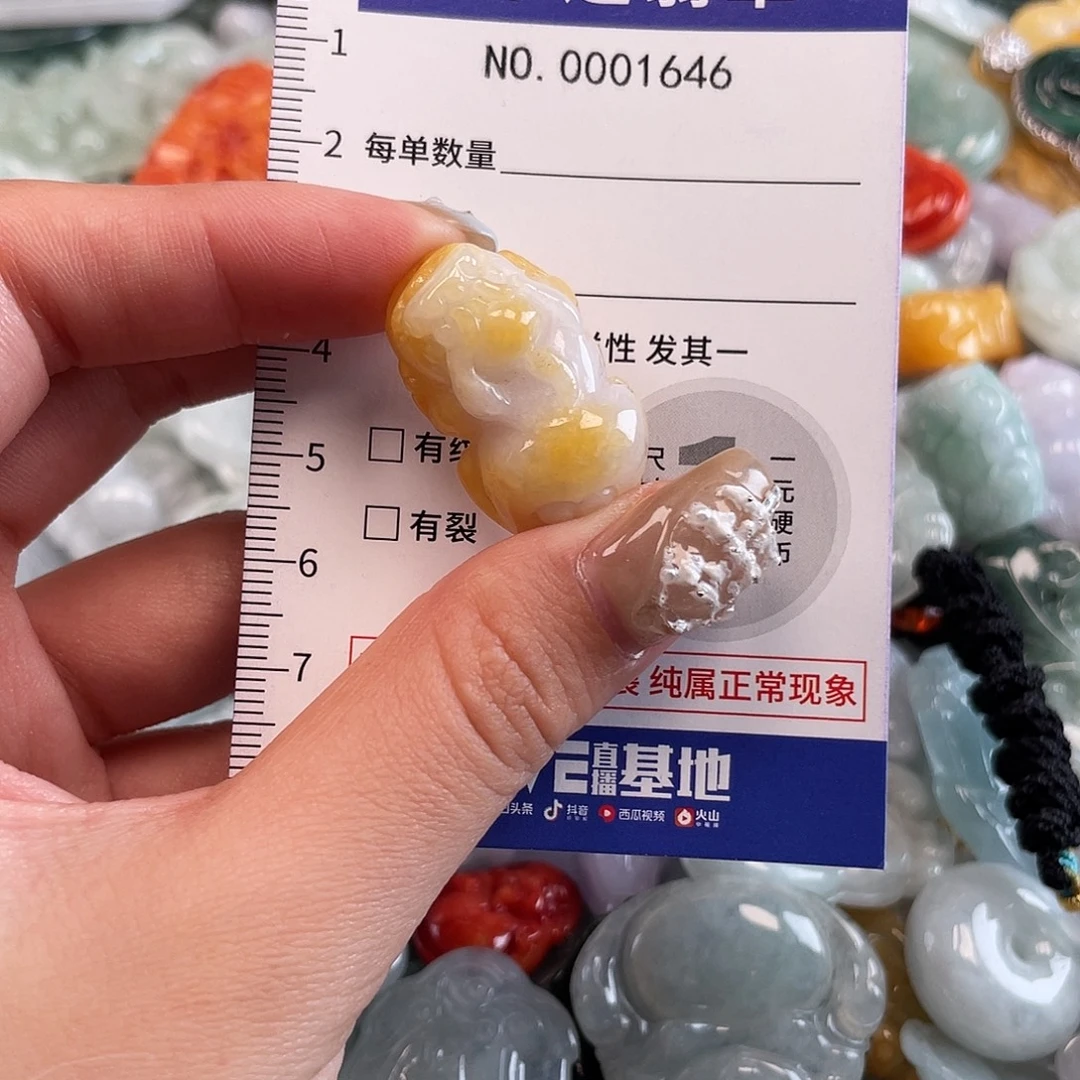 翡翠未镶嵌颈饰1646