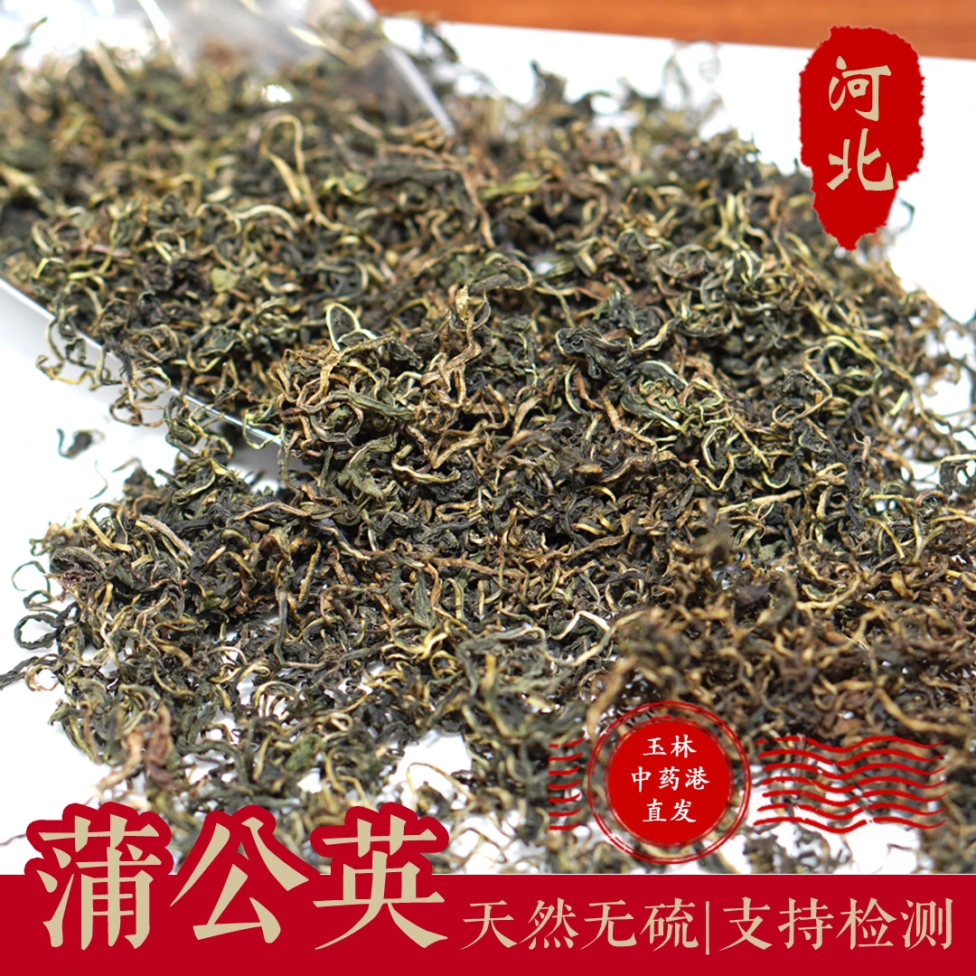 蒲公英茶新鲜炒制味道鲜美好喝不贵蒲公英婆婆丁茶花草茶泡水