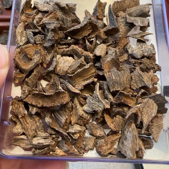 沉香摆件海南野生鸡母虫10克