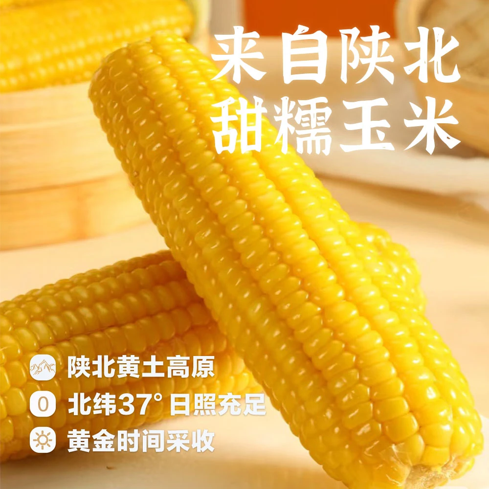 陕北2025年头茬 新鲜黄软糯甜玉米  农家玉米香  包邮