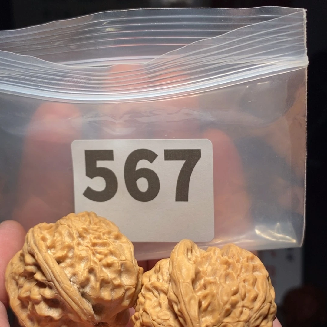 文玩核桃把件文玩核桃把件