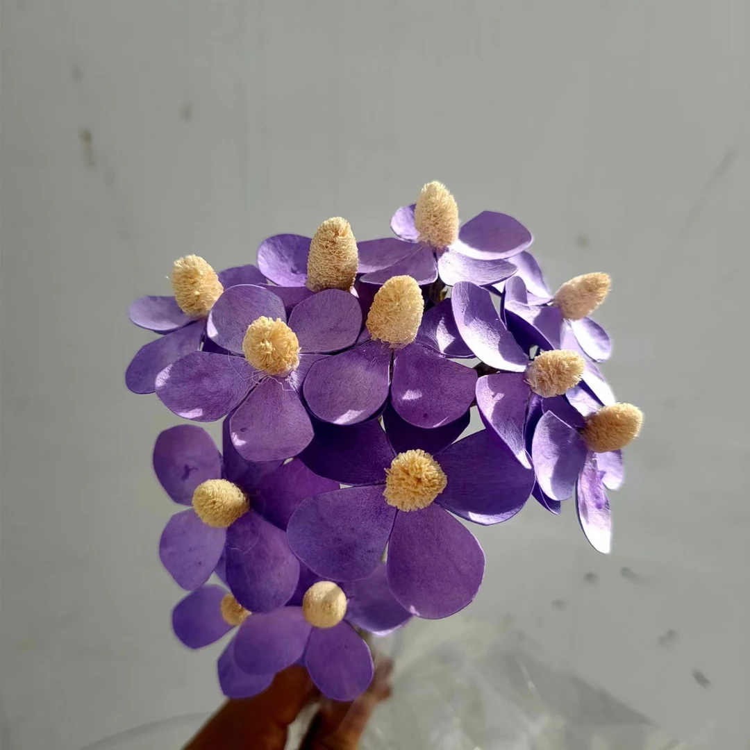 手工花紫色【紫罗兰】云南干花出口小花束居家紫罗兰装饰花环