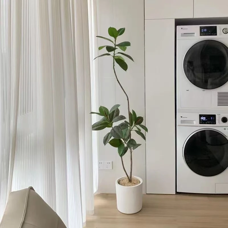 绿植橡皮树室内客厅绿金刚绿植轻奢大型落地盆栽